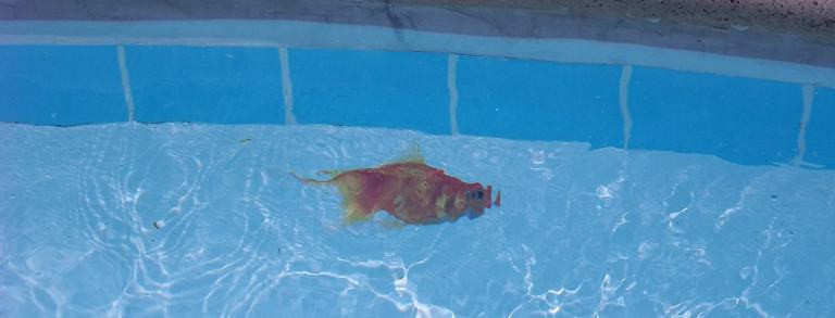 Дизайн интерьеров